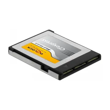 Kartë Memorie Delock CFexpress 256GB